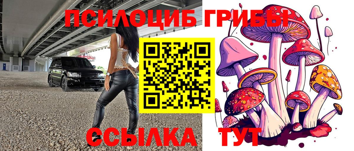 Галлюциногенные грибы мицелий Когалым